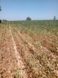 Produtor de soja já contabiliza R$ 180 mil em prejuízos devido à falta de chuva 