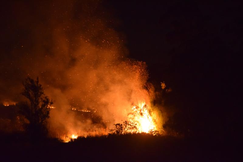 Bombeiros atuam mais de quatro horas em incêndio em área de Santa Cruz 